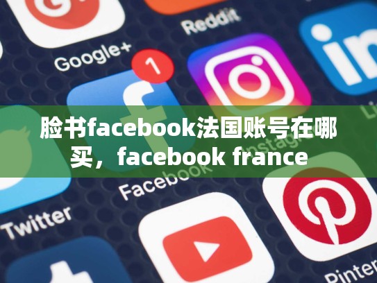 脸书facebook法国账号在哪买，facebook france
