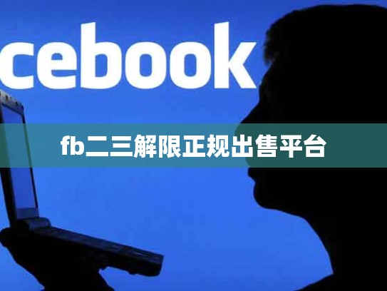 fb二三解限正规出售平台