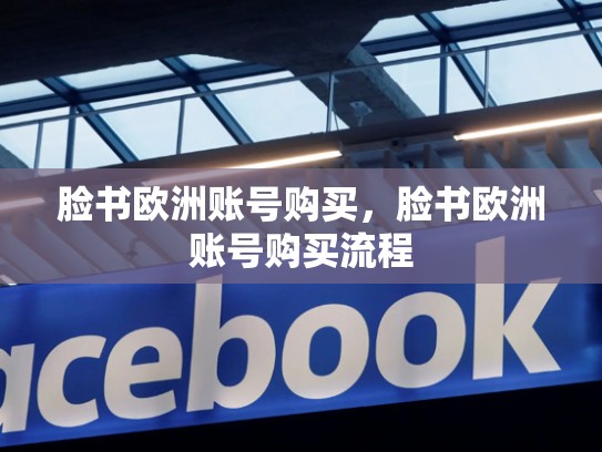 脸书欧洲账号购买，脸书欧洲账号购买流程