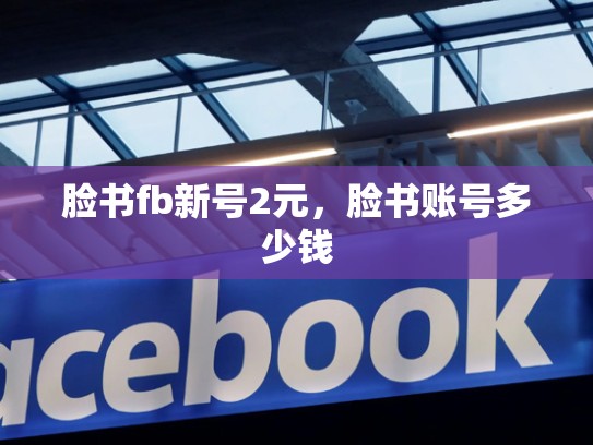 脸书fb新号2元，脸书账号多少钱