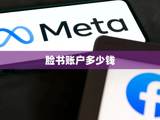 脸书账户多少钱