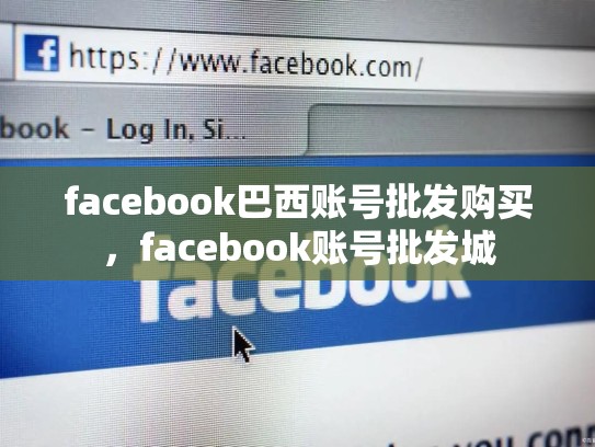 facebook巴西账号批发购买，facebook账号批发城