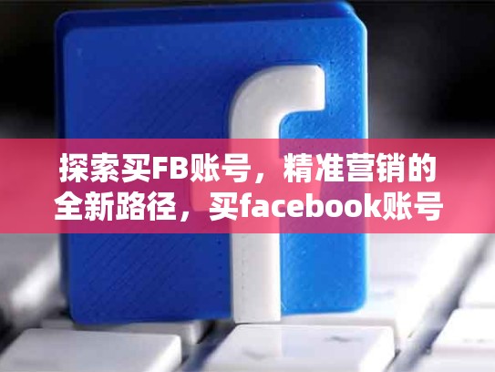 探索买FB账号，精准营销的全新路径，买facebook账号多少钱一个