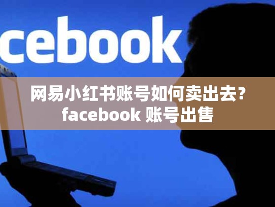 网易小红书账号如何卖出去？facebook 账号出售