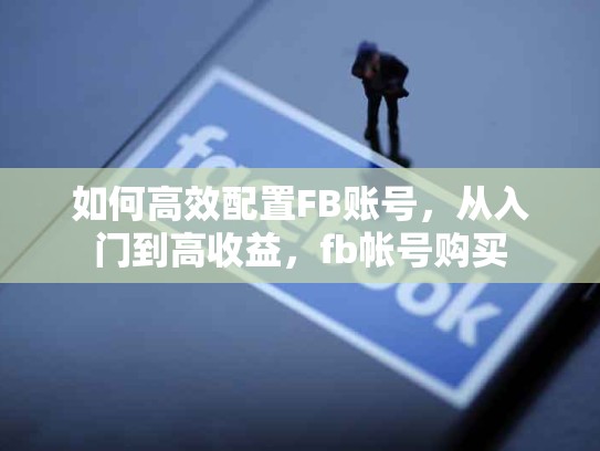 如何高效配置FB账号，从入门到高收益，fb帐号购买
