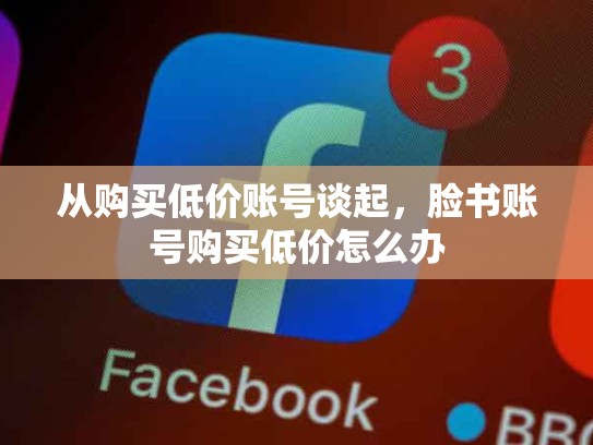 从购买低价账号谈起，脸书账号购买低价怎么办