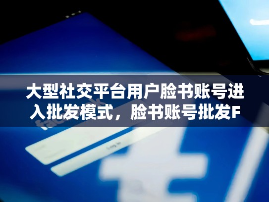 大型社交平台用户脸书账号进入批发模式,脸书账号批发Facebook账号