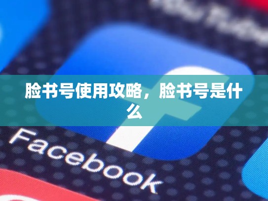 脸书号使用攻略，脸书号是什么