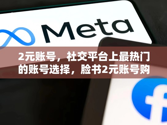 2元账号，社交平台上最热门的账号选择，脸书2元账号购买有风险吗