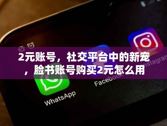 2元账号，社交平台中的新宠，脸书账号购买2元怎么用