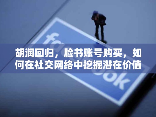 胡润回归，脸书账号购买，如何在社交网络中挖掘潜在价值，脸书账号购买渠道