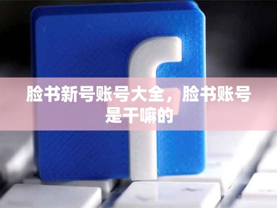 脸书新号账号大全，脸书账号是干嘛的