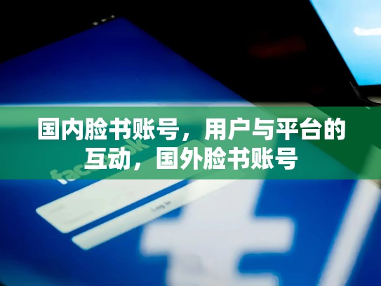 国内脸书账号，用户与平台的互动，国外脸书账号