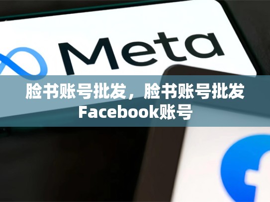 脸书账号批发，脸书账号批发Facebook账号