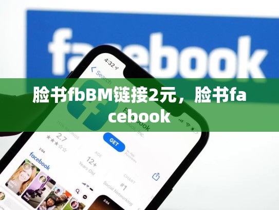 脸书fbBM链接2元，脸书facebook