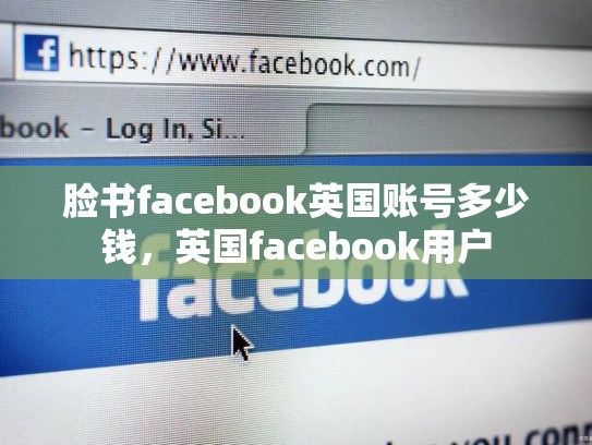 脸书facebook英国账号多少钱，英国facebook用户